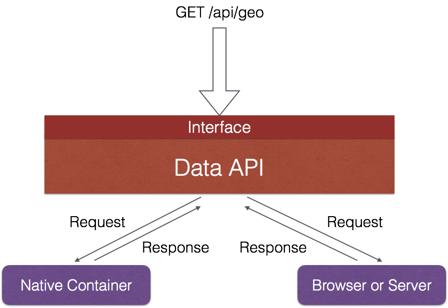 Data API